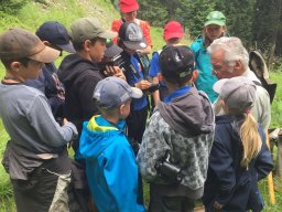 wildbeobachtung_6_20160811_1954342193
